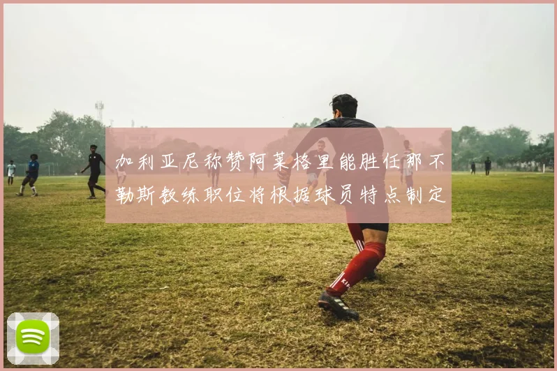 加利亚尼称赞阿莱格里能胜任那不勒斯教练职位将根据球员特点制定战术