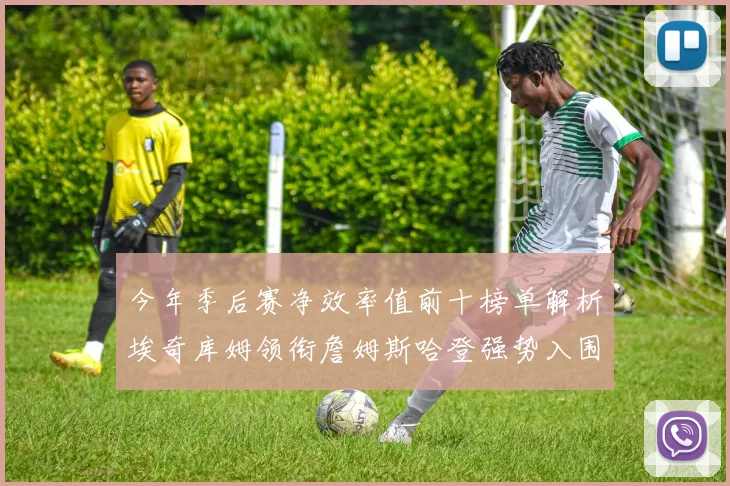 今年季后赛净效率值前十榜单解析埃奇库姆领衔詹姆斯哈登强势入围